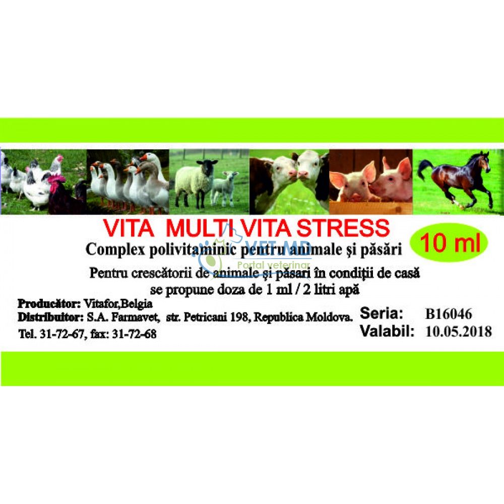 Vita Multi Vita Stres, 10 ml